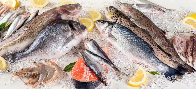 **The Ultimate List of Protein-Rich Fish (And Their Amazing Health Benefits)**